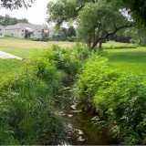 Colonial Hills Park Water Quality Improvement Project