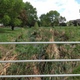 Herbert Park (84th and O) - Water quality cell vegetation - adding roughness reduces flood velocity.