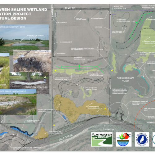 Concept map of the Marsh Wren restoration project.
