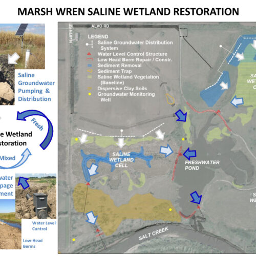 Marsh Wren hydrology diagram showing pumped salt water and fresh stormwater mixing.