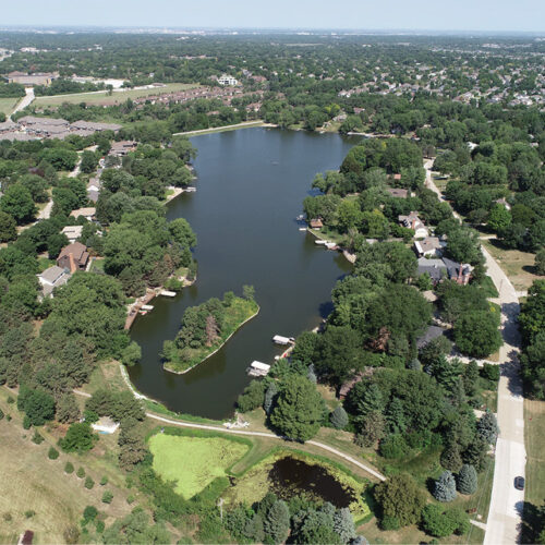 Thumbnail for Projects